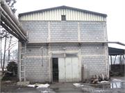 Milan Blagojevic-Lucani slika1